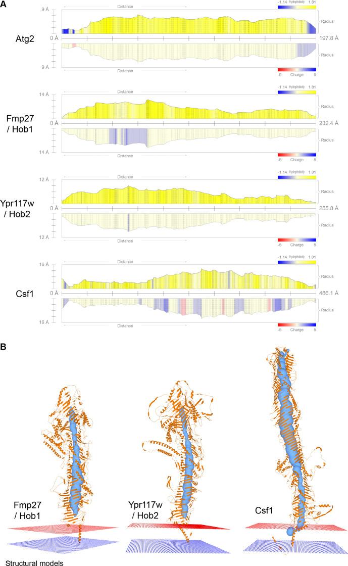 https://cdn.ncbi.nlm.nih.gov/pmc/blobs/e6d5/9648973/986f07b63eef/elife-74602-fig2-figsupp3.jpg