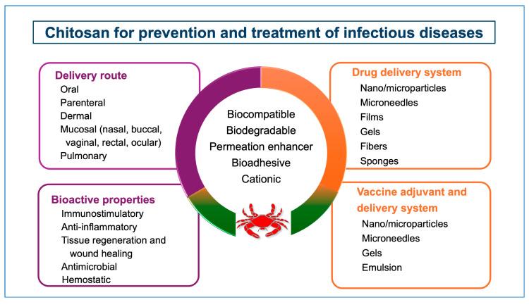 https://cdn.ncbi.nlm.nih.gov/pmc/blobs/e6d6/11434819/f3b92d94301c/pharmaceutics-16-01201-g002.jpg