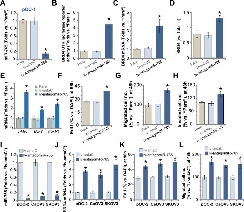 https://cdn.ncbi.nlm.nih.gov/pmc/blobs/e6d6/8034896/7c7ca60eaea1/aging-13-202632-g004.jpg