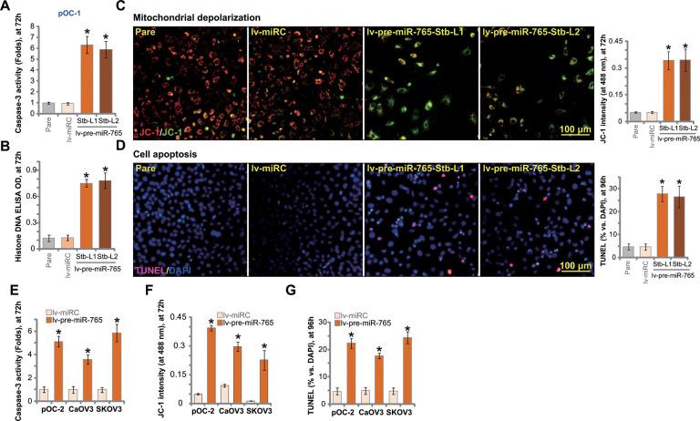 https://cdn.ncbi.nlm.nih.gov/pmc/blobs/e6d6/8034896/e8ede44af8df/aging-13-202632-g003.jpg