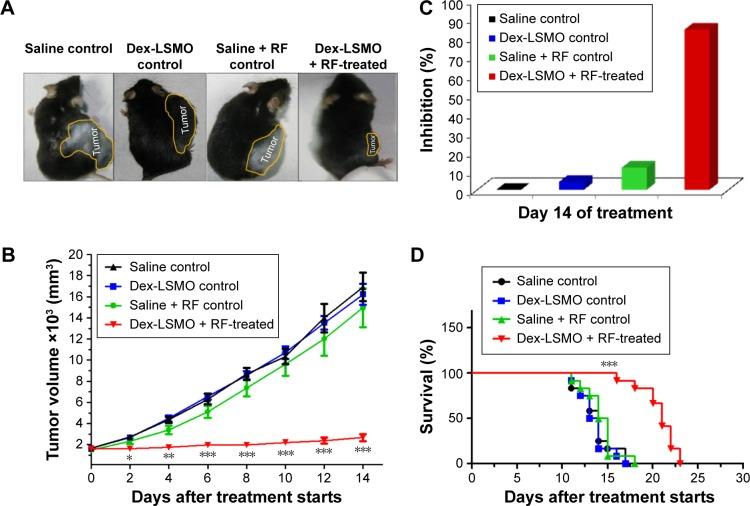 https://cdn.ncbi.nlm.nih.gov/pmc/blobs/e6d8/4854252/d08b34a88f3e/ijn-11-1779Fig4.jpg