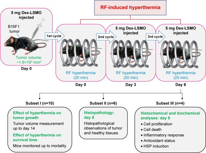 https://cdn.ncbi.nlm.nih.gov/pmc/blobs/e6d8/4854252/d1ff60540a53/ijn-11-1779Fig1.jpg
