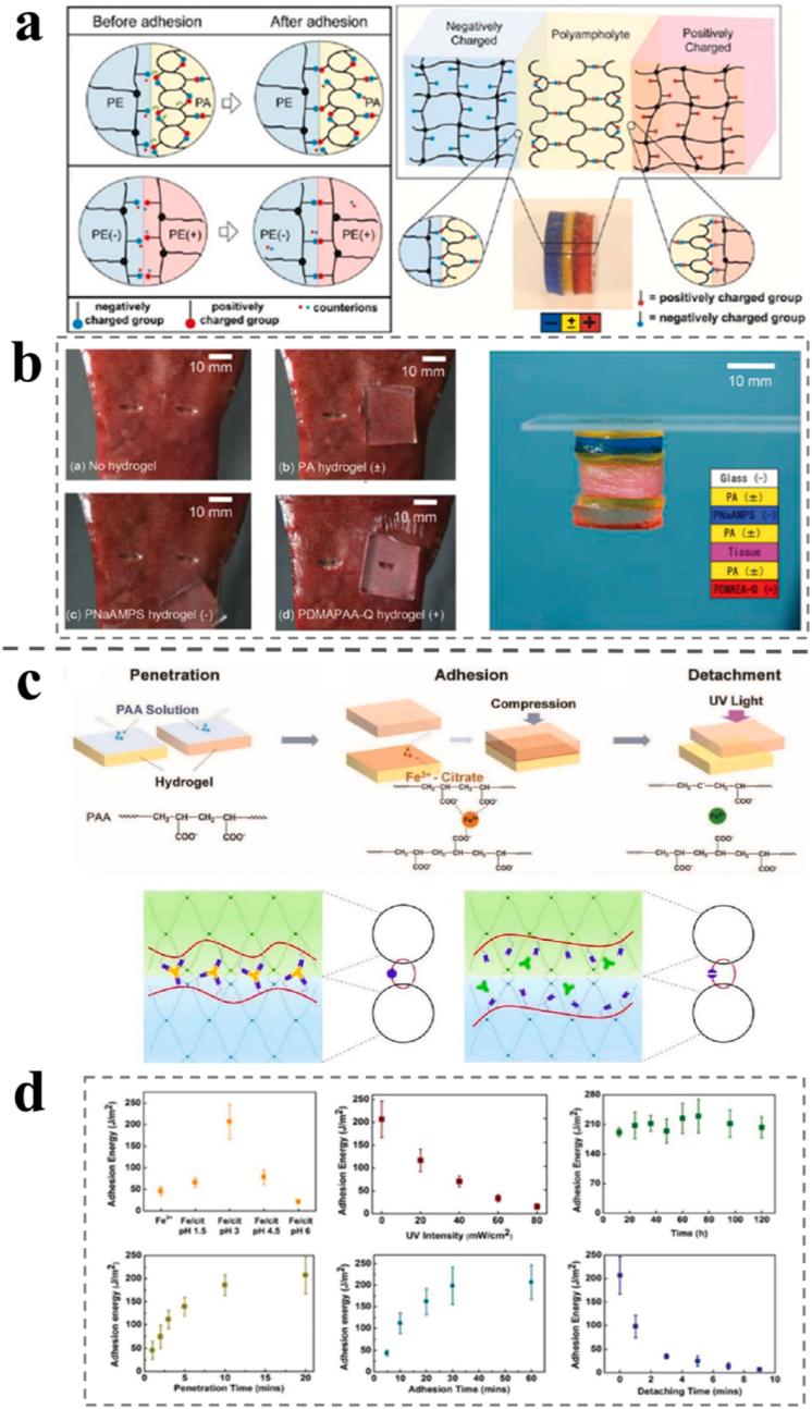 https://cdn.ncbi.nlm.nih.gov/pmc/blobs/e6d9/9508611/0ea9965f6df9/gr4.jpg