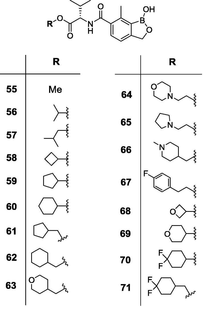 https://cdn.ncbi.nlm.nih.gov/pmc/blobs/e6dd/5720837/1c30e32ee951/gr8.jpg