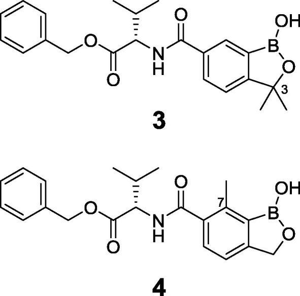 https://cdn.ncbi.nlm.nih.gov/pmc/blobs/e6dd/5720837/2e6017555bad/gr2.jpg