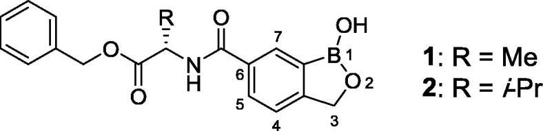 https://cdn.ncbi.nlm.nih.gov/pmc/blobs/e6dd/5720837/aad140a27706/gr1.jpg