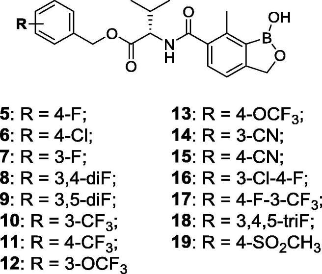 https://cdn.ncbi.nlm.nih.gov/pmc/blobs/e6dd/5720837/c3cd7b18a659/gr3.jpg