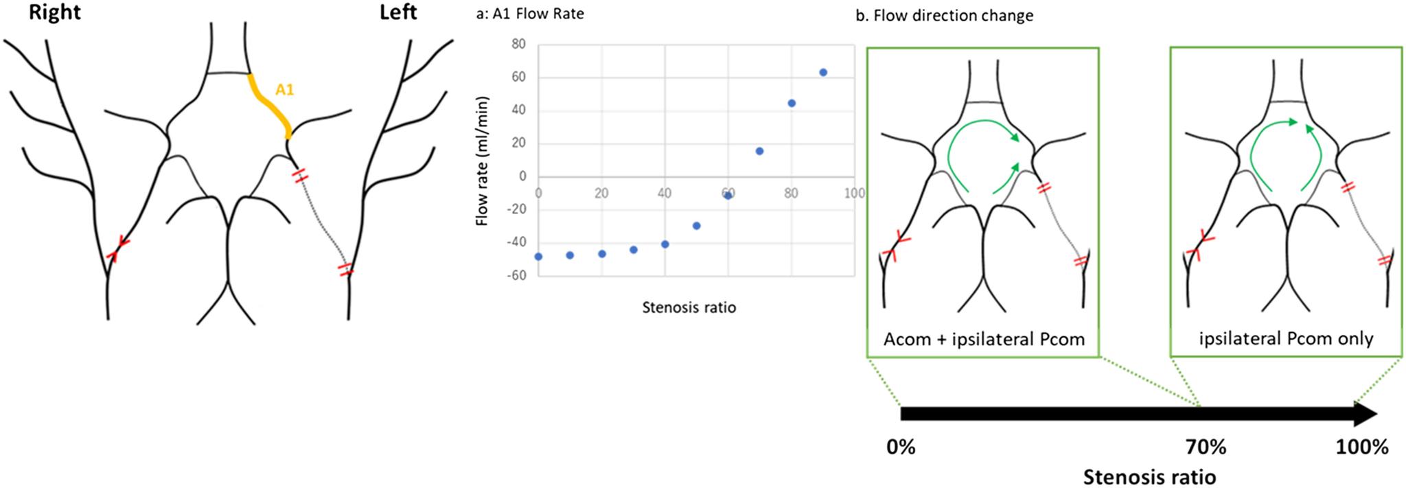 https://cdn.ncbi.nlm.nih.gov/pmc/blobs/e6de/7991701/1f4d15077a0e/avd-14-1-oa.20-00166-figure04.jpg