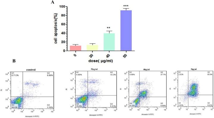 https://cdn.ncbi.nlm.nih.gov/pmc/blobs/e6df/7239422/c2114413c4fe/IJBMS-23-469-g007.jpg
