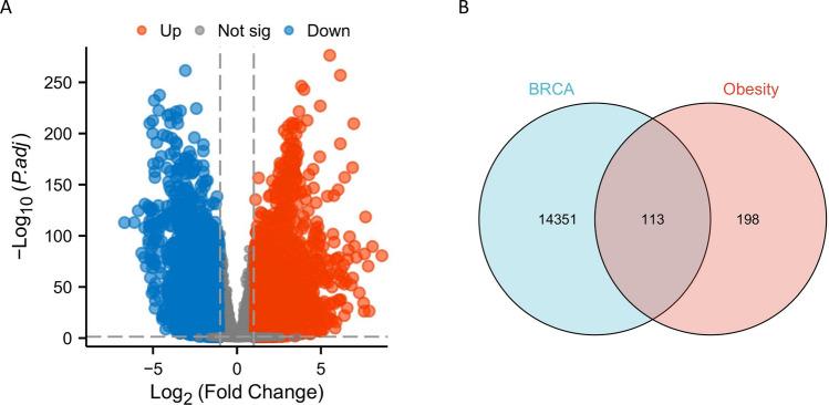 https://cdn.ncbi.nlm.nih.gov/pmc/blobs/e6e0/11055831/100f895a4b90/12672_2024_988_Fig2_HTML.jpg