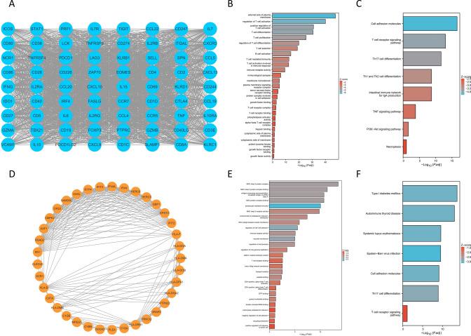 https://cdn.ncbi.nlm.nih.gov/pmc/blobs/e6e0/11055831/2efab7e381bf/12672_2024_988_Fig20_HTML.jpg
