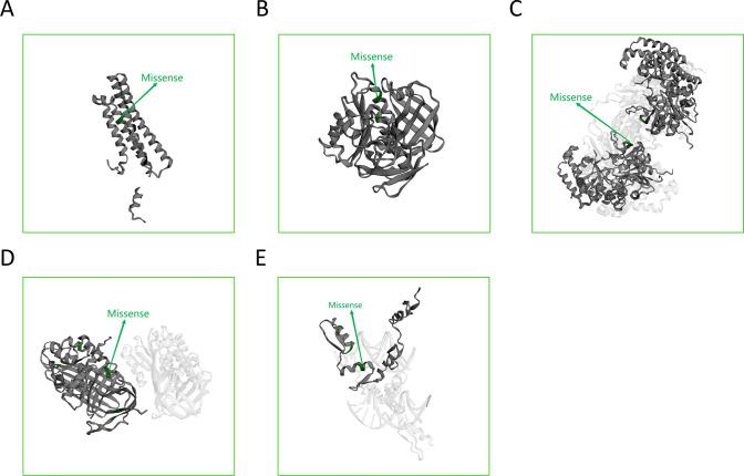 https://cdn.ncbi.nlm.nih.gov/pmc/blobs/e6e0/11055831/6ab303838664/12672_2024_988_Fig12_HTML.jpg