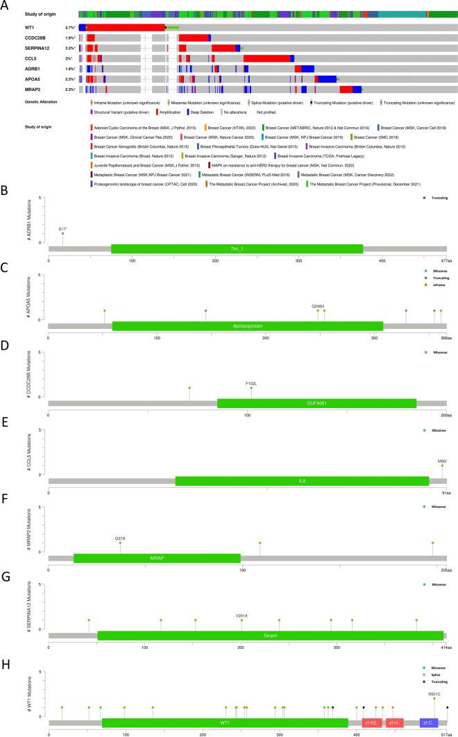 https://cdn.ncbi.nlm.nih.gov/pmc/blobs/e6e0/11055831/c1021afbd556/12672_2024_988_Fig11_HTML.jpg