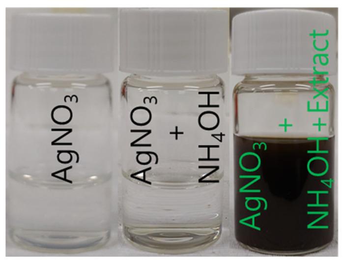 https://cdn.ncbi.nlm.nih.gov/pmc/blobs/e6e0/12298785/c2c5d6f5e1e8/nanomaterials-15-01087-g002.jpg