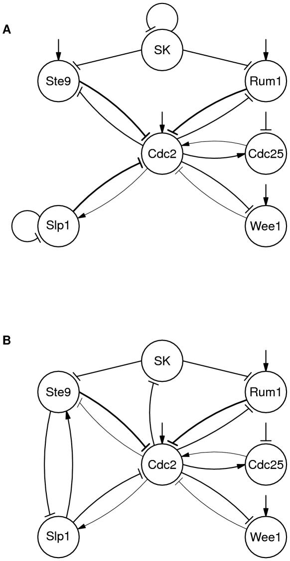 https://cdn.ncbi.nlm.nih.gov/pmc/blobs/e6e3/2813865/f56c6c6d818b/pone.0008906.g002.jpg