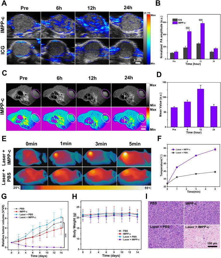 https://cdn.ncbi.nlm.nih.gov/pmc/blobs/e6e8/12187729/0a3f98404451/fimmu-16-1605048-g005.jpg