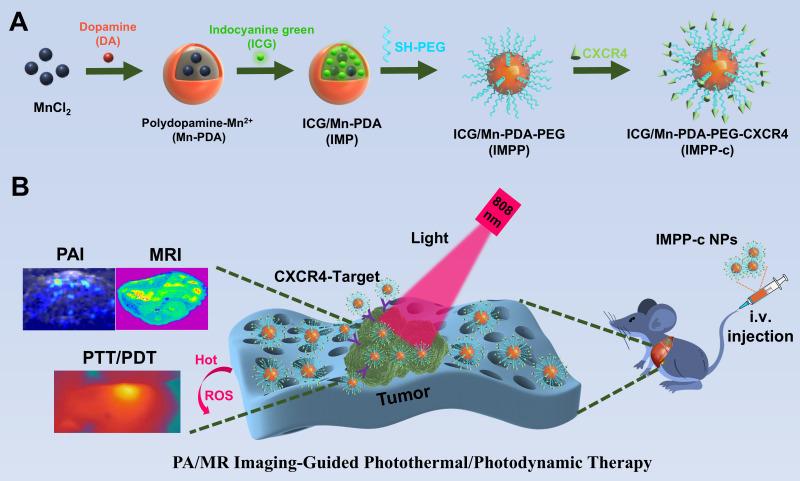 https://cdn.ncbi.nlm.nih.gov/pmc/blobs/e6e8/12187729/ad9bc979d2b7/fimmu-16-1605048-g001.jpg