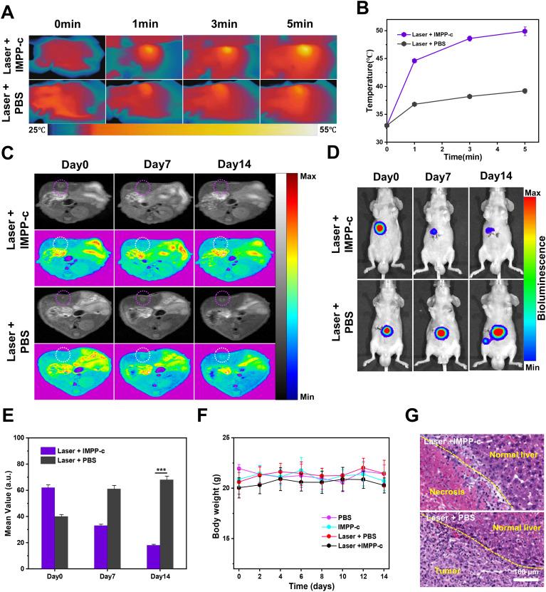 https://cdn.ncbi.nlm.nih.gov/pmc/blobs/e6e8/12187729/c6707e814534/fimmu-16-1605048-g007.jpg