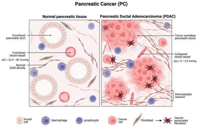 https://cdn.ncbi.nlm.nih.gov/pmc/blobs/e6e9/10742176/6320827ff85b/cimb-45-00611-g001.jpg
