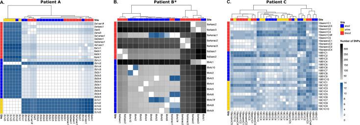 https://cdn.ncbi.nlm.nih.gov/pmc/blobs/e6e9/11520291/3da02d960347/msphere.00530-24.f002.jpg