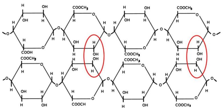 https://cdn.ncbi.nlm.nih.gov/pmc/blobs/e6ea/10530747/3caf1e1c17aa/gels-09-00732-g002.jpg