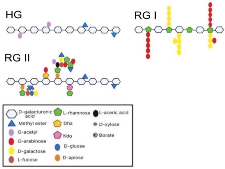 https://cdn.ncbi.nlm.nih.gov/pmc/blobs/e6ea/10530747/eee9e5fafa67/gels-09-00732-g001.jpg