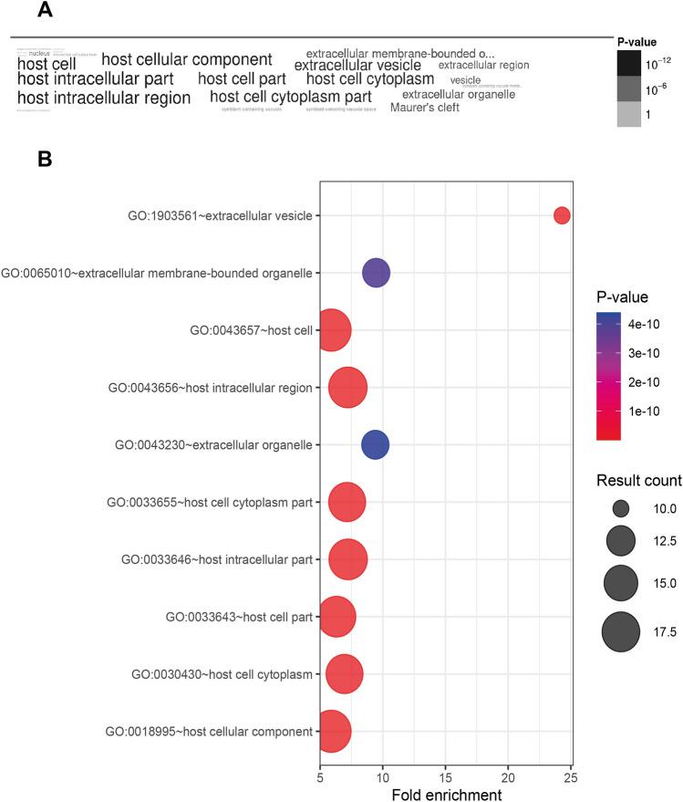 https://cdn.ncbi.nlm.nih.gov/pmc/blobs/e6ea/11099048/04752138732a/41598_2024_61295_Fig5_HTML.jpg
