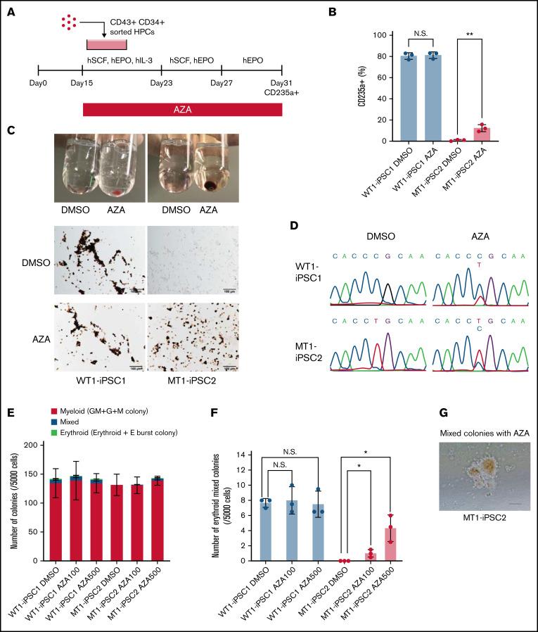 https://cdn.ncbi.nlm.nih.gov/pmc/blobs/e6eb/8864662/27ae1d74f718/advancesADV2021005664f6.jpg