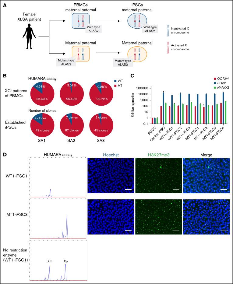 https://cdn.ncbi.nlm.nih.gov/pmc/blobs/e6eb/8864662/fc739d976b15/advancesADV2021005664f2a.jpg
