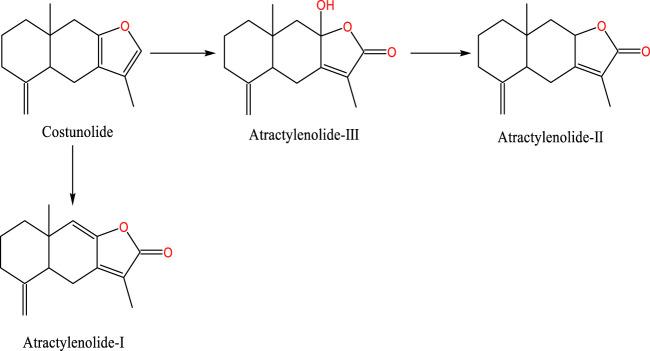 https://cdn.ncbi.nlm.nih.gov/pmc/blobs/e6ef/11163078/7287eaf149ee/fphar-15-1398294-g001.jpg