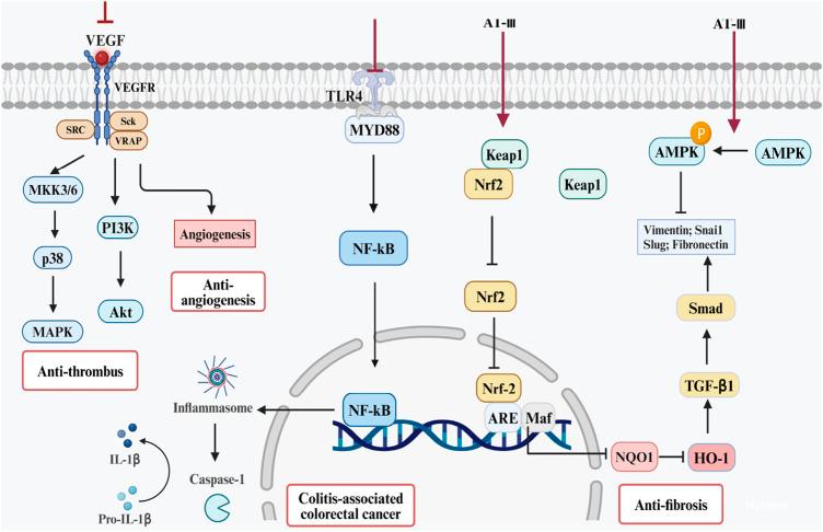 https://cdn.ncbi.nlm.nih.gov/pmc/blobs/e6ef/11163078/d21eb1f9779e/fphar-15-1398294-g004.jpg