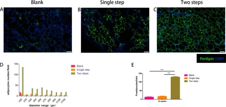https://cdn.ncbi.nlm.nih.gov/pmc/blobs/e6ef/7089949/250898c0ab66/41598_2020_61891_Fig4_HTML.jpg
