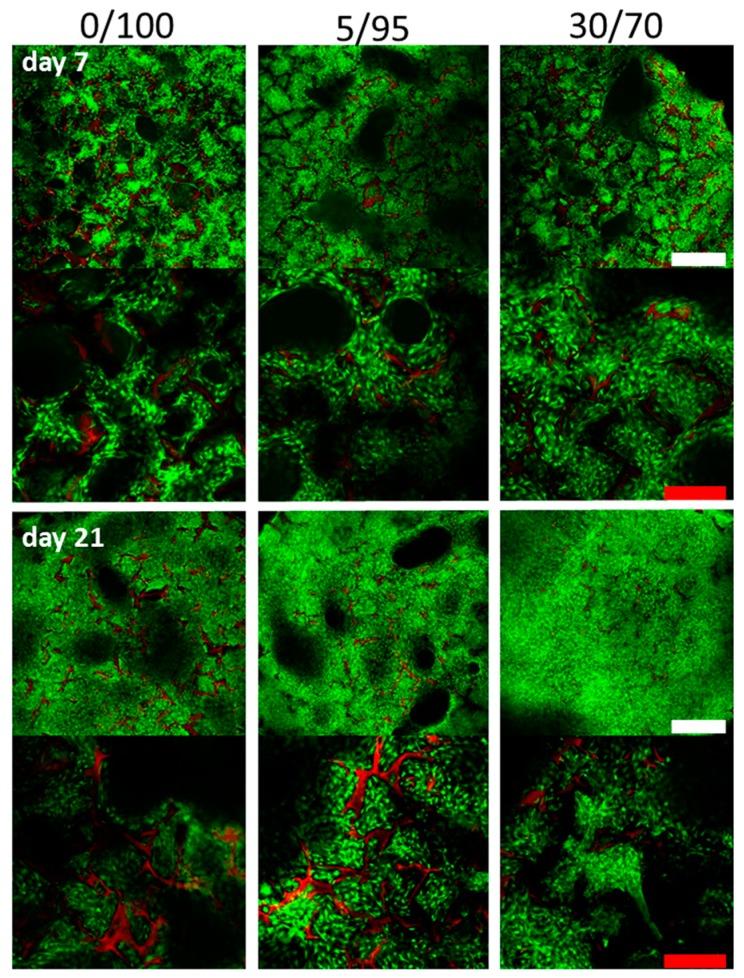 https://cdn.ncbi.nlm.nih.gov/pmc/blobs/e6f1/5503045/ab4e6b027af5/materials-09-00381-g003.jpg