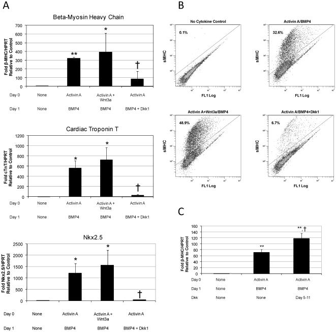 https://cdn.ncbi.nlm.nih.gov/pmc/blobs/e6f7/2886114/563f79d07ab0/pone.0011134.g001.jpg