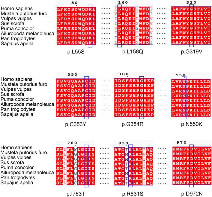 https://cdn.ncbi.nlm.nih.gov/pmc/blobs/e6f8/11010299/27ecf8b1df02/13023_2024_3179_Fig4_HTML.jpg