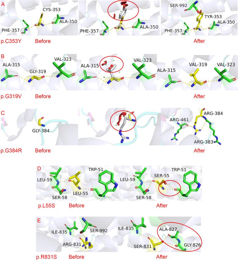 https://cdn.ncbi.nlm.nih.gov/pmc/blobs/e6f8/11010299/4210ca2077b0/13023_2024_3179_Fig3_HTML.jpg