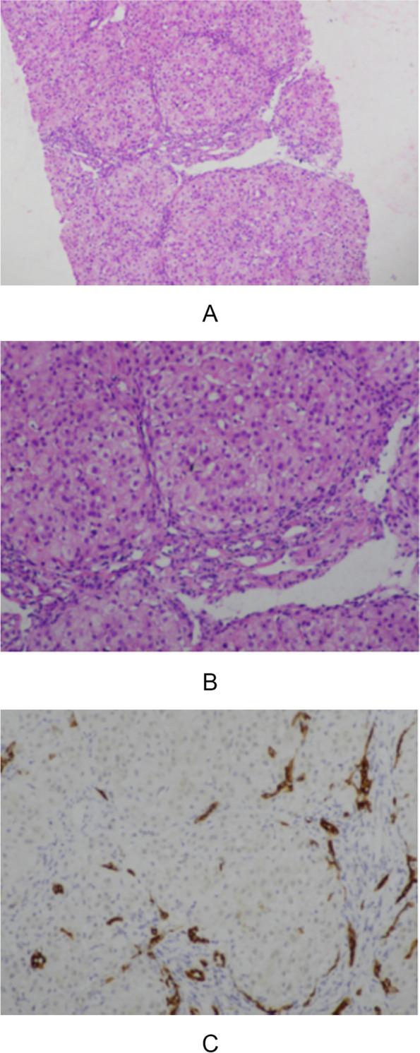 https://cdn.ncbi.nlm.nih.gov/pmc/blobs/e6f8/11010299/ac16a132dfbd/13023_2024_3179_Fig2_HTML.jpg