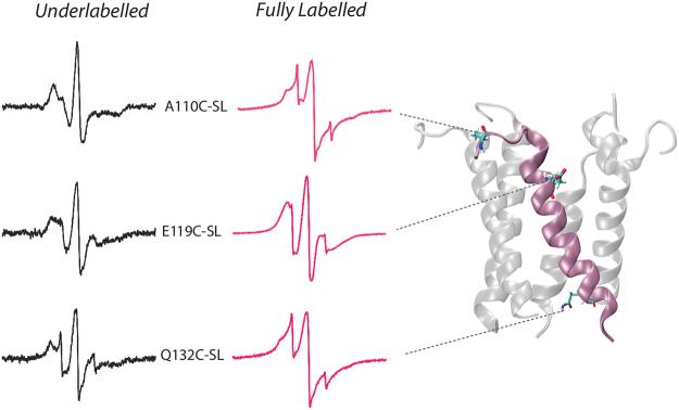 https://cdn.ncbi.nlm.nih.gov/pmc/blobs/e6f8/5722894/842eac612f3f/41598_2017_17396_Fig3_HTML.jpg