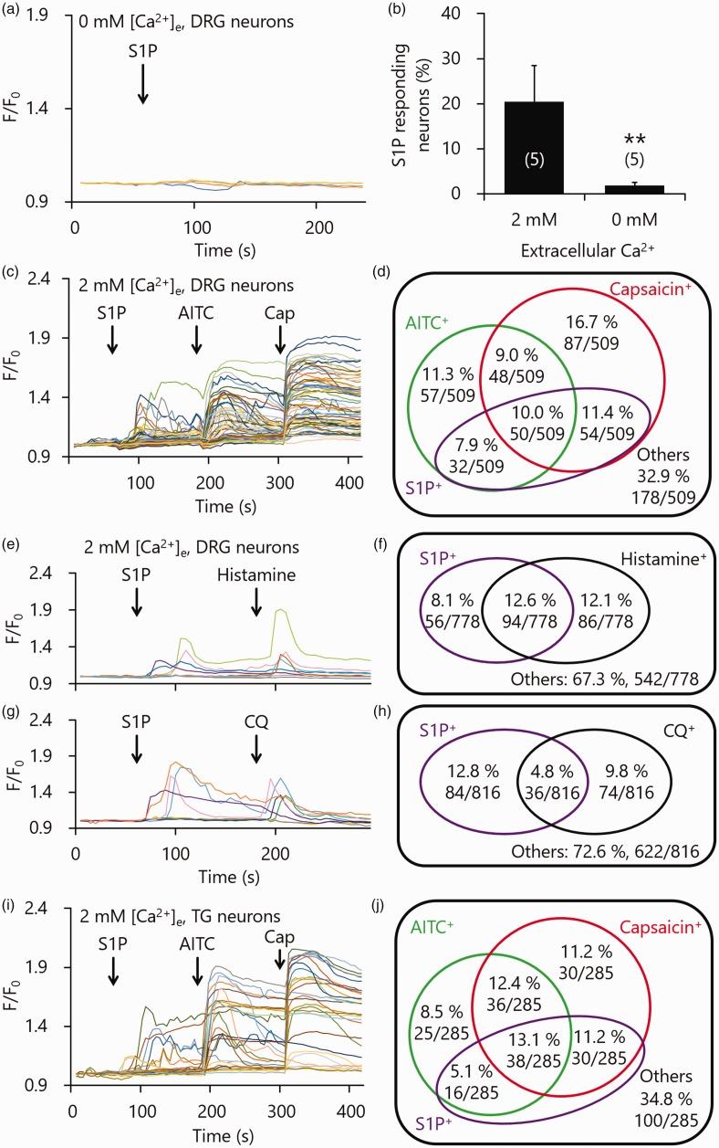 https://cdn.ncbi.nlm.nih.gov/pmc/blobs/e6fa/7040933/f87a69f2c157/10.1177_1744806920903515-fig3.jpg