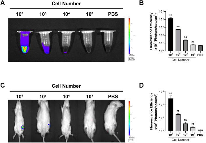 https://cdn.ncbi.nlm.nih.gov/pmc/blobs/e6fd/12209229/6738d6c16362/fbioe-13-1555983-g002.jpg