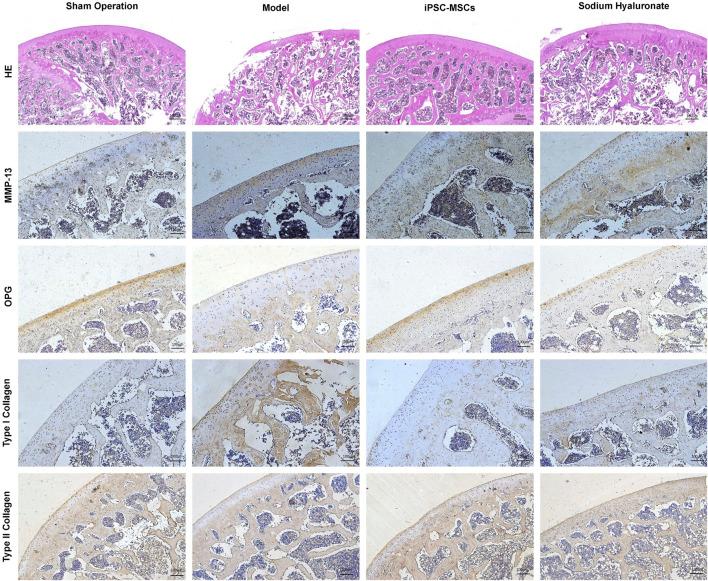 https://cdn.ncbi.nlm.nih.gov/pmc/blobs/e6fd/12209229/da2b0d805bf0/fbioe-13-1555983-g001.jpg