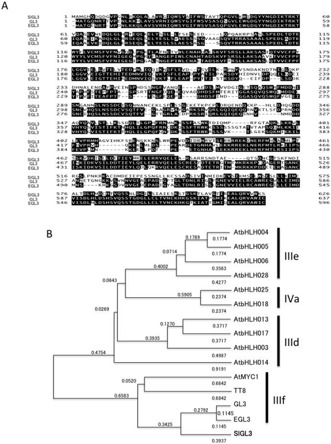 https://cdn.ncbi.nlm.nih.gov/pmc/blobs/e6fe/3543402/86781f816053/pone.0054019.g002.jpg