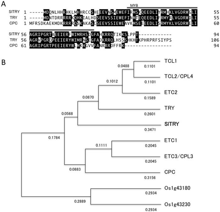 https://cdn.ncbi.nlm.nih.gov/pmc/blobs/e6fe/3543402/ad207d55a371/pone.0054019.g001.jpg