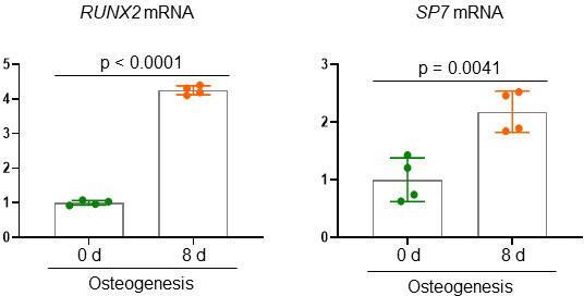 https://cdn.ncbi.nlm.nih.gov/pmc/blobs/e6fe/9417416/1df5e072bf2f/elife-78069-fig1-figsupp1.jpg