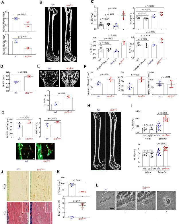 https://cdn.ncbi.nlm.nih.gov/pmc/blobs/e6fe/9417416/f27daf7fdec5/elife-78069-fig2.jpg