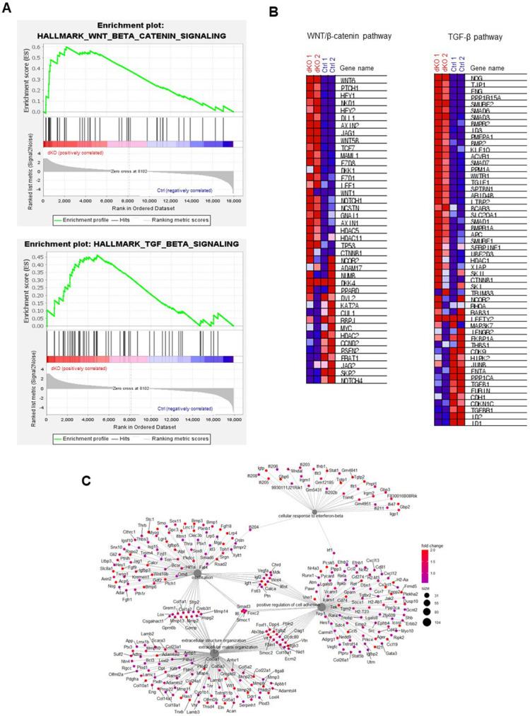 https://cdn.ncbi.nlm.nih.gov/pmc/blobs/e6fe/9417416/fdbf39f487f4/elife-78069-fig3-figsupp3.jpg