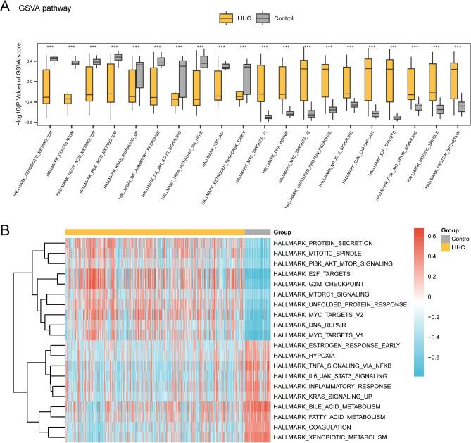 https://cdn.ncbi.nlm.nih.gov/pmc/blobs/e700/12008308/62d4edb6453f/41598_2025_98038_Fig6_HTML.jpg