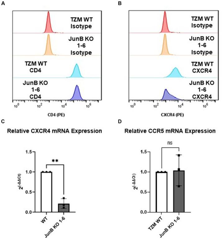 https://cdn.ncbi.nlm.nih.gov/pmc/blobs/e701/11149427/806a29c46609/fmicb-15-1342444-g004.jpg