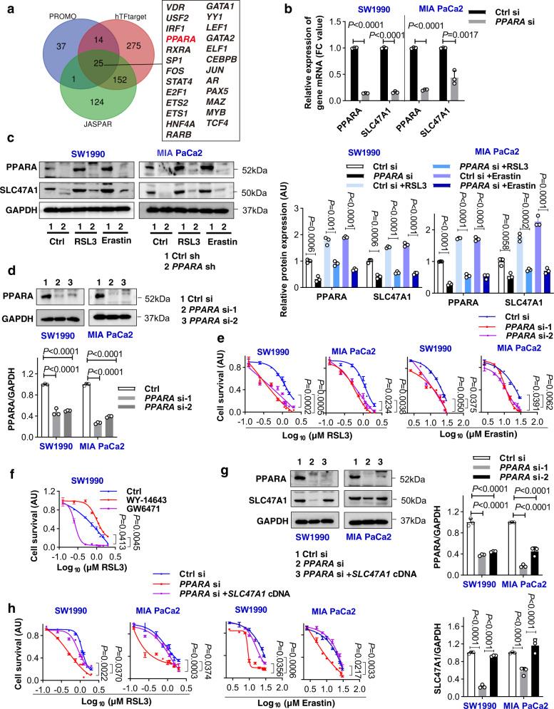 https://cdn.ncbi.nlm.nih.gov/pmc/blobs/e701/9794750/06b620716029/41467_2022_35707_Fig6_HTML.jpg