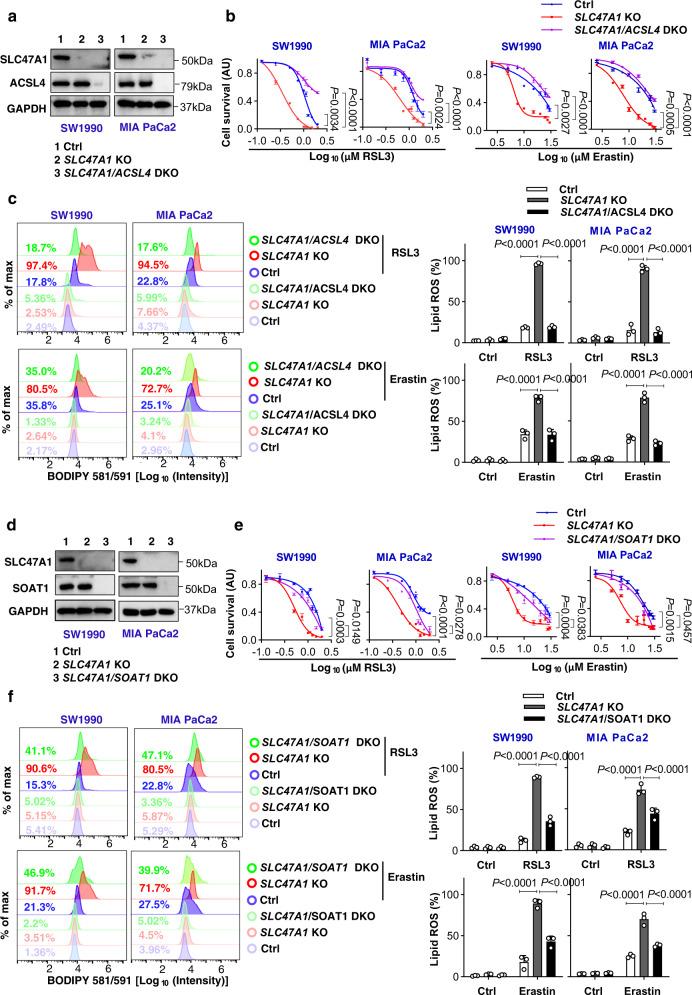 https://cdn.ncbi.nlm.nih.gov/pmc/blobs/e701/9794750/2490d8849f8d/41467_2022_35707_Fig5_HTML.jpg